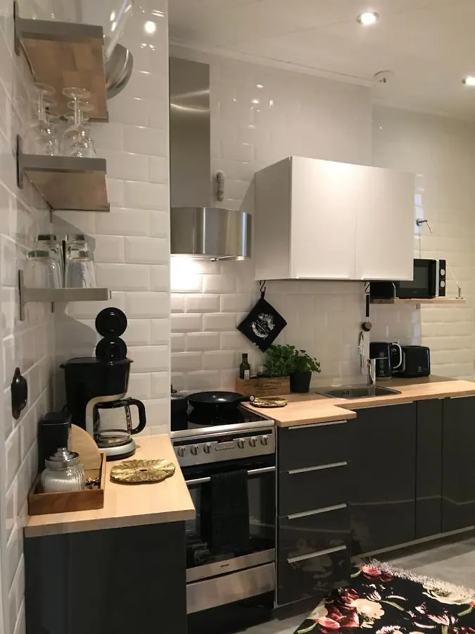 Beautiful City Apartment At Kallio Helsinki